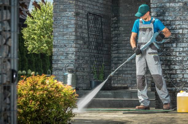 Best Animal Enclosure Cleaning  in Cornelius, NC